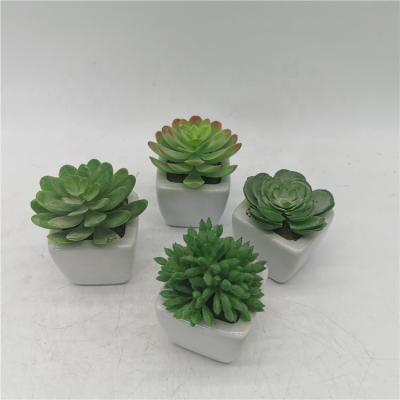 China Art Decor Set of 4 Mini Assorted Faux Succulent Plants in Real Touch Artificial Succulent Planta in White Ceramic Planter Pots for sale