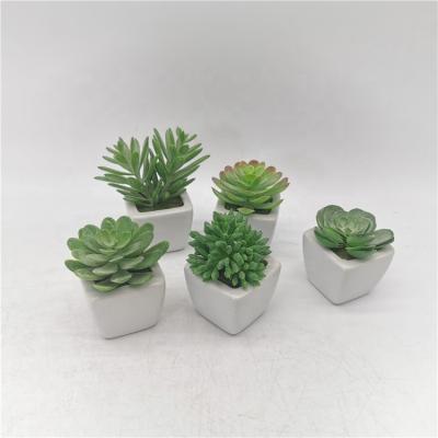 China Art Decor Set of 3 Matched Fakeplants Plastic Succulent Desk Decorative with White Ceramic Pots Vivid Artificial Succulent Plants for sale