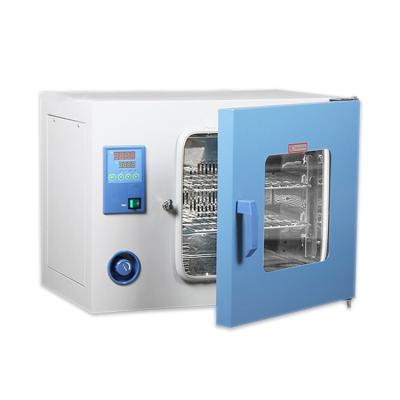 China Medicine Curing Hot Sale DHG 9070A Manufacturing Equipment Lab Metal Oven for sale