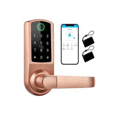 China 85 CC DC6V AA Fingerprint Door Lock Waterproof 180mm Length for sale