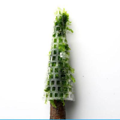 China Sustainable Aquarium Accessories Landscape Decoration Christmas Moss Tree Water Park Plants for sale