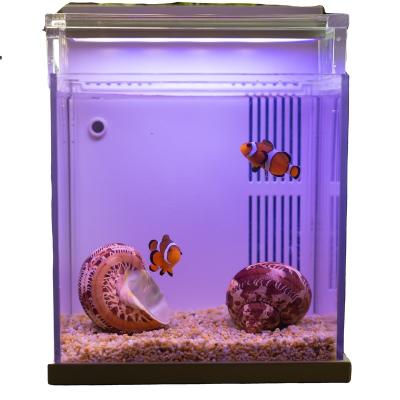 China QANVEE New Design Viable High Quality Acrylic Table Back Filter Small Aquarium Fish Tank for sale