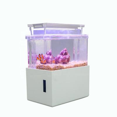 China Viable Design Mini Desktop Fish Tank with Aquarium Lighting and Water Filter for sale