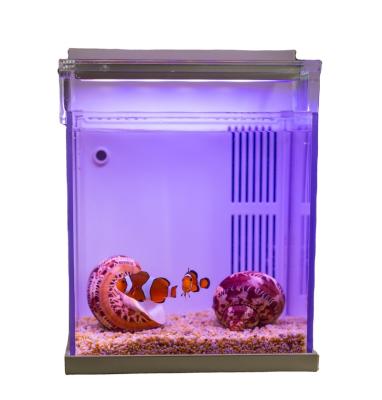 China Factory Direct Selling Viable New Design Small Back Seawater Desktop Aquarium With Factory Spectra for sale