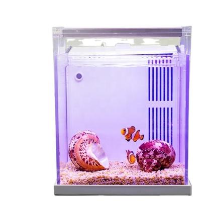 China New Design QANVEE Aquarium Viable Acrylic Betta Fish Tank System With Auto Circulation Water Filtration for sale