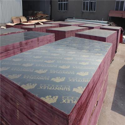 China Modern Black/Brown/Red Film Faced Plywood 18mm For Construction for sale