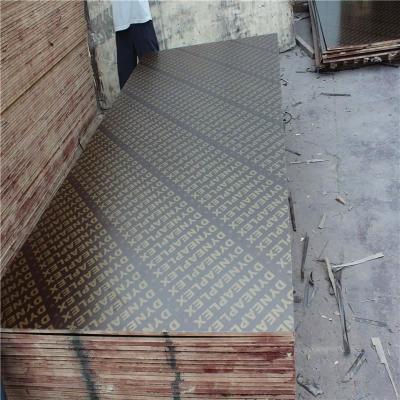 China Modern Construction 3*6 Triplay Maderera Plywood for sale