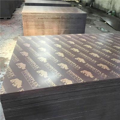 China Modern High Quality Plywood Building Doms for sale