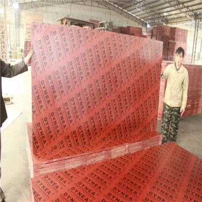 China Modern Cheap Phenolic Film Faced Plywood For Sale SUNNYPLEX for sale