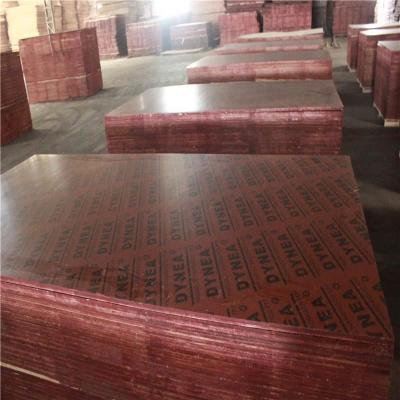 China Modern High Quality Wooden Plywood Core Boards DOM for sale