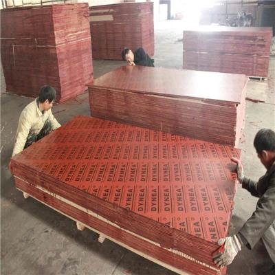 China Modern Concrete Building Laminated Plywood Panels 18mm / Building Form Plywood for sale