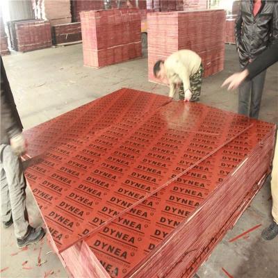 China 18mm modern film faced plywood for construction for sale