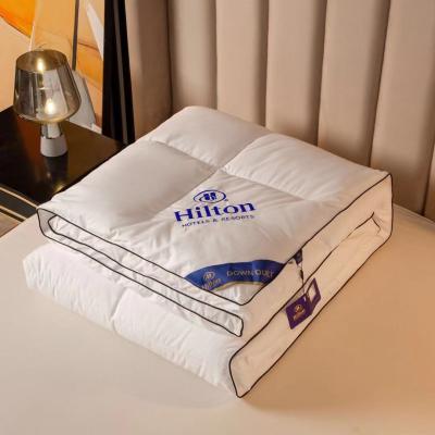 China Hot Sale Home Comforter Comforter Hilton Hotel Comforter Summer Cool Quilt Like Naked Sleep Comforter Quilt With Bag for sale