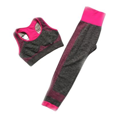 China Amazon Breathable New Yoga Wear Set Sports Bras And Yoga Pants Running Pink Sports Bra Set for sale