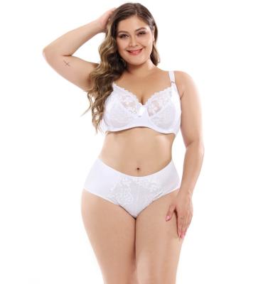 China Suitable Anti-UV Multiple Scenarios Durable And High Temperature Resistant Plus Size Bra Diet Suit For Women for sale