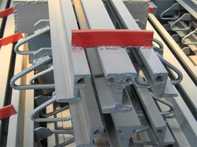 China Modular expansion joint for sale