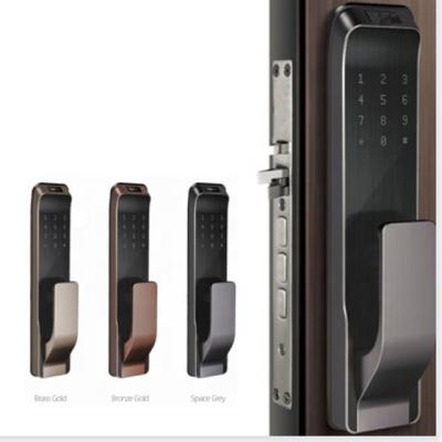 China Wifi APP remote control keyless identification touch screen panel smart fingerprint door lock for villa for sale