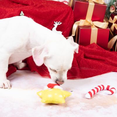 China Stocked High Quality Environment Friendly Washable Christmas Plush Toys Star Profile Dog Chew Toy for sale