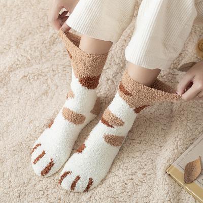 China Kawaii Shorts Socks Winter Women QUICK DRY Knitted Thick Knitted Socks for sale