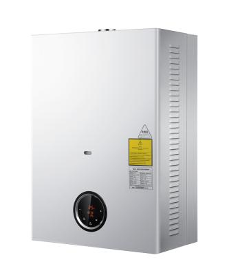 China Best Commercial Supplier in China Direct Selling Instant Domestic Hot Water Gas Boiler for sale