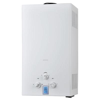 China Gas Hotel Home Appliance Open Stable Temperature Boiler Flue Natural Type Water Heater for sale