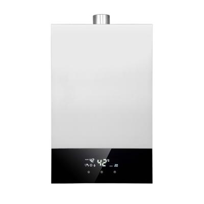 China New Convenient Hotel Competitive Price Natural Gas Water Heater for sale