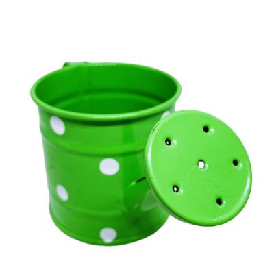 China Green Mini Plants Waterer Candy Bucket of Iron Product for sale