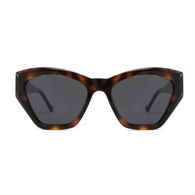 China 2022 Fashion Sunglasses Source Manufacturer Polygonal Champagne Acetate In Stock Tortoiseshell Men Women Shape Unique Sunglasses for sale