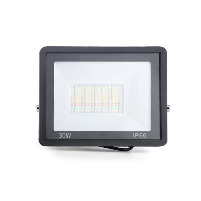 China Widely used in LEZU wifi 30W led wall tennis court architectural reflector led stadium sport light outdoor led flood light for sale