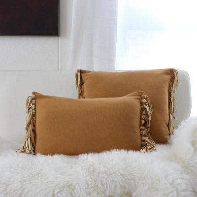 China New Design Sustainable Comfortable Couch Pillow Lovely Home Decor Pillows Long Tassel Pillow for sale