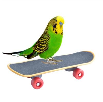 China Viable Intelligence Toy Mini Training Bird Parrot Skateboard for Parrot Budgie Cockatiels for sale