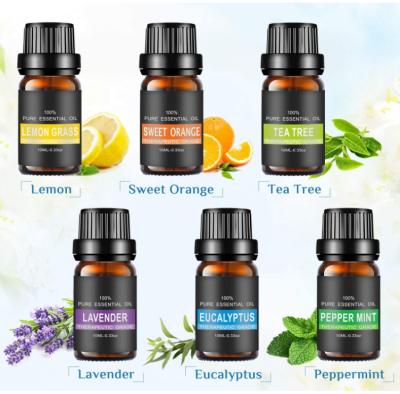 China Aromatherapy Beauty Spa Aroma Diffuser Aromatherapy Gift Set 10ml Natural Therapeutic Grade Aroma Essential Oils for sale