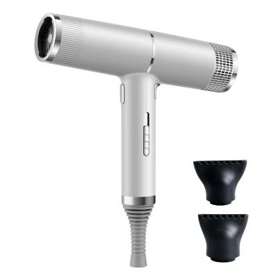 China Hair Dryer Lon Hair Dryer Ionic Quick Drying Professional Hair Dryer for sale