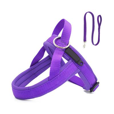 China Private Label Padded Nylon Neoprene Strap Soft Padded Harness And Leash for sale