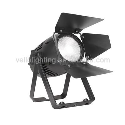 China Outdoor Vello LED High Power COB Par Light 200W ww cw par can IP65 (led par200 solar 2in 1) 251*225*308 for sale