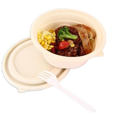 China Packing Heating Dining Cheap Takeaway Travel Made In China Portable Disposable Biodegradable Dinnerware Set Disposable Lunch Box for sale