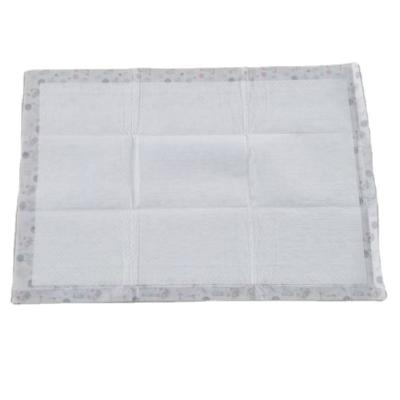 China Custom Pet Stocked Extra Large 60*60 Private Label Supplies Biodegradable Dog Puppy Training Pads In Bulk for sale