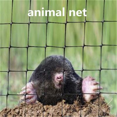 China Anti Mole Netting Plastic Anti Vole Net en venta