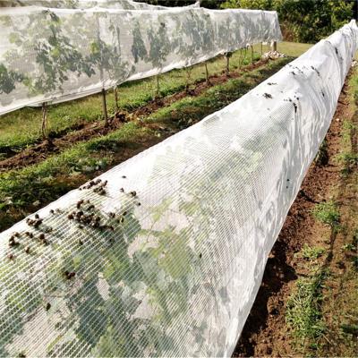 China agricultural product fruit fly nets /vegetables anti fly net for sale