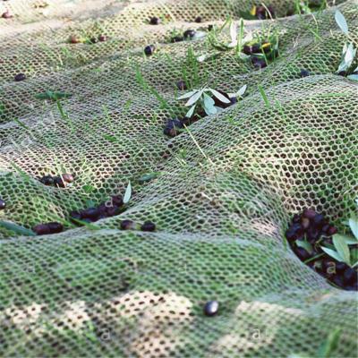 China HDPE Agriculture Fruit/ Olive Net/ Harvest Nets/ Collecting Net/ Olive Collect Net for sale