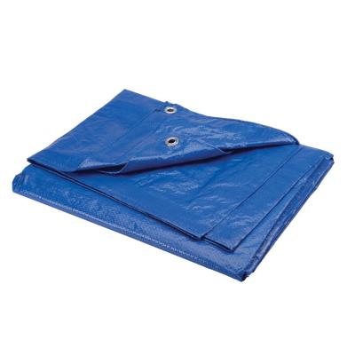 China China Factory Good Quality Custom Pvc Pe Tarpaulin Roll For Truck Car Roof for sale