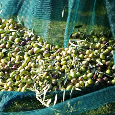 China hdpe material Olive Catching net for sale