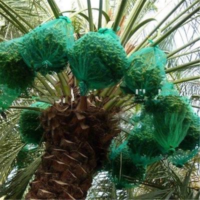 China PE Date Palm Mesh Net Bag with Drawstrings for sale