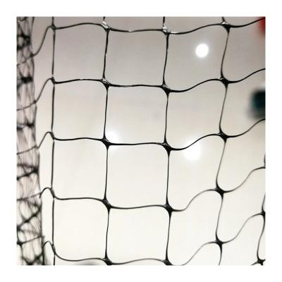 China Bop Stretched PP Net for Anti Bird Netting for Garden Protect for sale