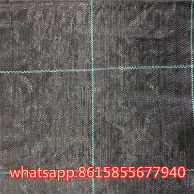 China PP Weed Barrier Fabric to Amazon for sale