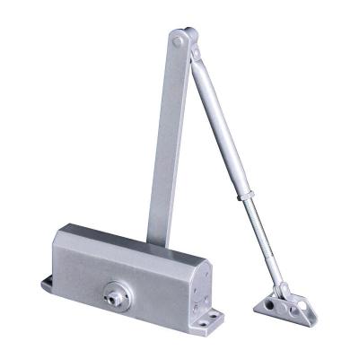 China Hidden Adjustable Universal Security Screen Opener Hold 45-65kg Door Closer for sale