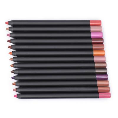 China Dye-in-1 Matte Lipliner Pencil Hot Selling Lip Gloss 2 Natural Waterproof Custom Lip Liner Waterproof High Matte Lip Liner for sale