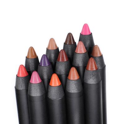 China Matte Lip Liner Pencil Set Professional Waterproof Natural Lipliner Smooth Lasting Waterproof Pen Makeup Cosmetic Tools Kit for sale