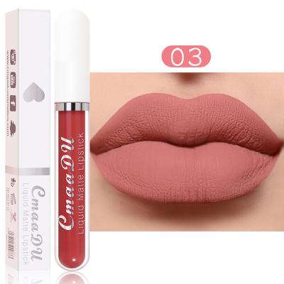 China 18 Colors Waterproof Not Easy To Fade Matte Velvet Lip Glaze Waterproof During Moisturizing Sexy Lip Gloss Lipstick Wholesale for sale