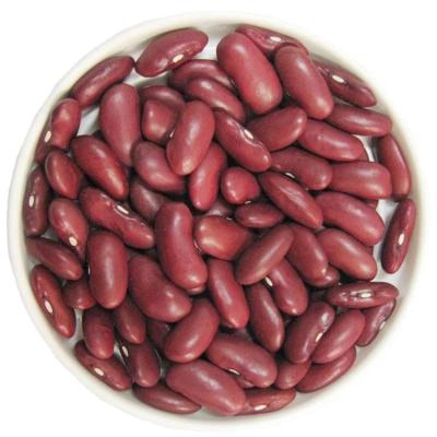 China Hot Selling Dark Red Kidney Beans Dried Red Kidney Beans With Export Price for sale